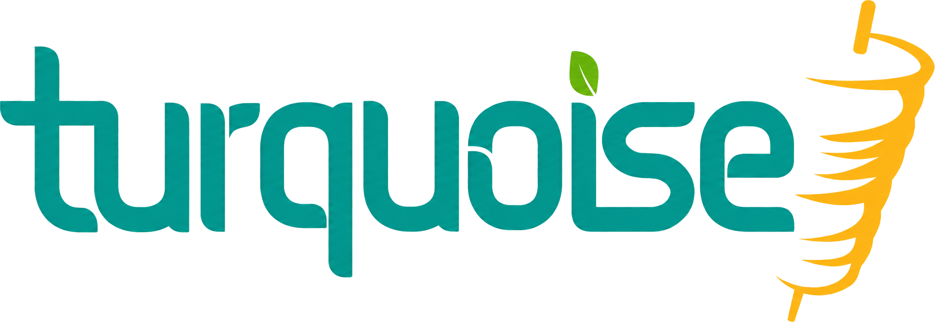 Turquoise Leeuwarden logo